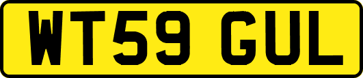 WT59GUL