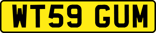 WT59GUM