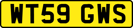 WT59GWS
