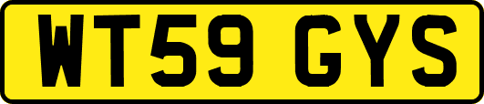 WT59GYS