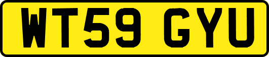 WT59GYU