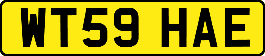 WT59HAE