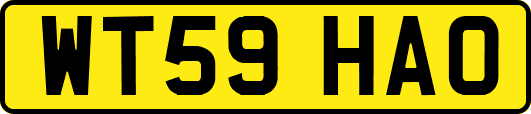 WT59HAO
