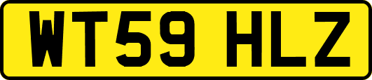 WT59HLZ
