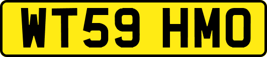 WT59HMO