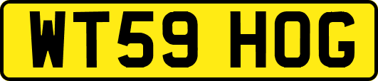 WT59HOG