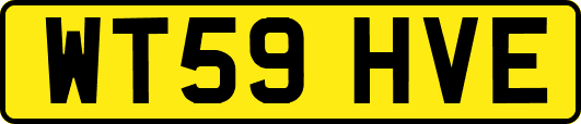 WT59HVE