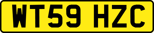 WT59HZC