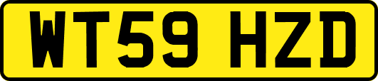 WT59HZD