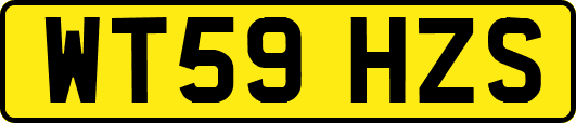 WT59HZS