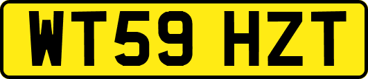 WT59HZT