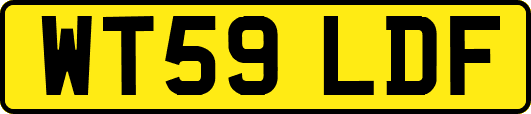 WT59LDF