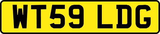 WT59LDG