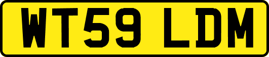 WT59LDM