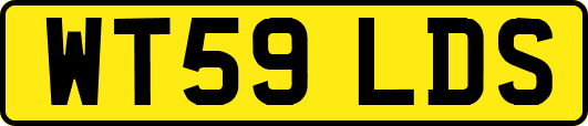 WT59LDS