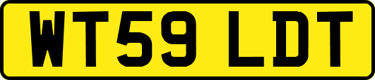 WT59LDT