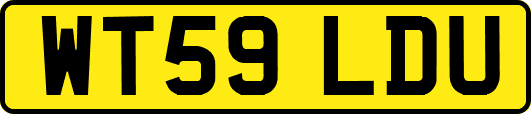 WT59LDU