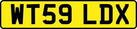 WT59LDX