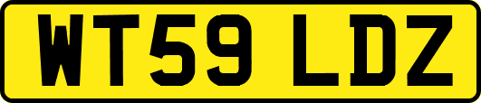 WT59LDZ