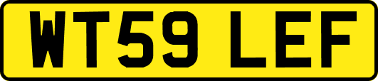 WT59LEF