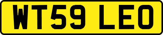 WT59LEO
