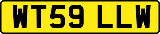 WT59LLW
