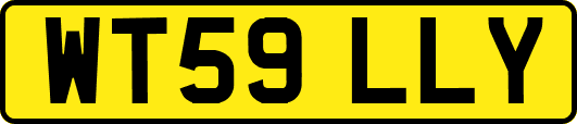 WT59LLY