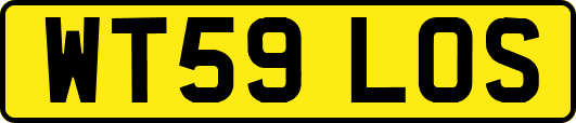 WT59LOS