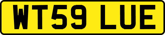 WT59LUE