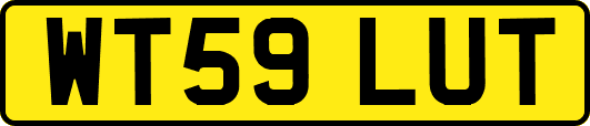 WT59LUT