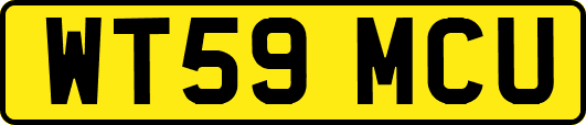 WT59MCU