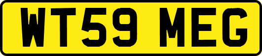 WT59MEG