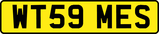 WT59MES