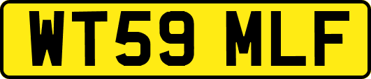 WT59MLF