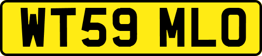 WT59MLO