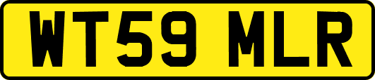 WT59MLR