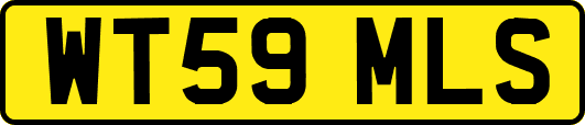 WT59MLS