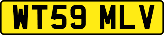 WT59MLV