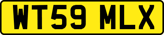 WT59MLX
