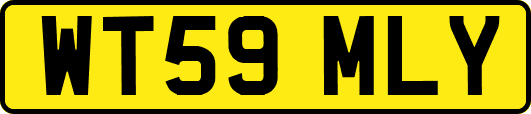 WT59MLY