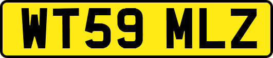 WT59MLZ