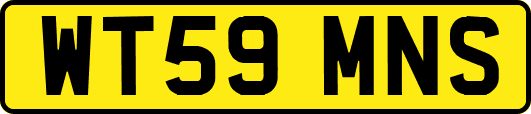 WT59MNS