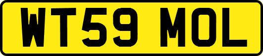 WT59MOL