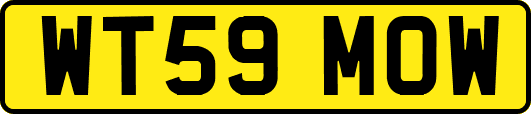 WT59MOW