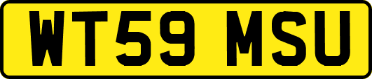WT59MSU