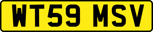 WT59MSV