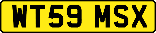 WT59MSX