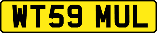 WT59MUL