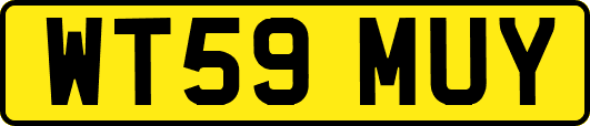 WT59MUY
