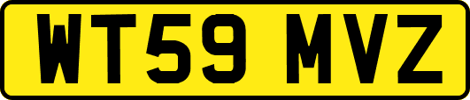 WT59MVZ